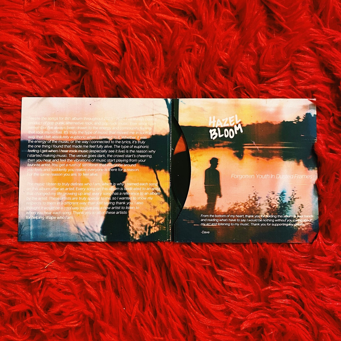 "Forgotten Youth In Dusted Frames" Album CD - Signed