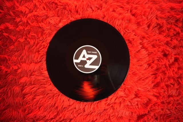 "Forgotten Youth In Dusted Frames" Test Pressing Vinyl